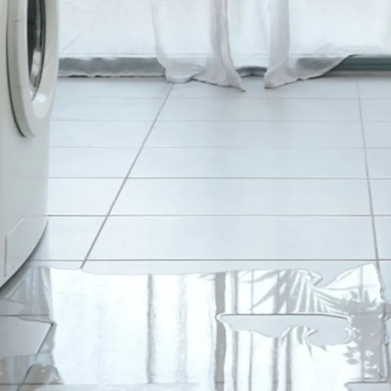 Appliance Leak Cleanup in Shelby County, TX