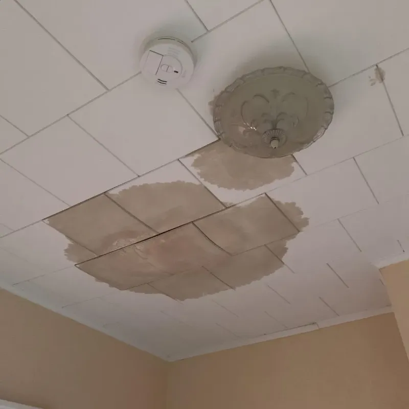 Ceiling Water Damage Repair in Shelby County, TX