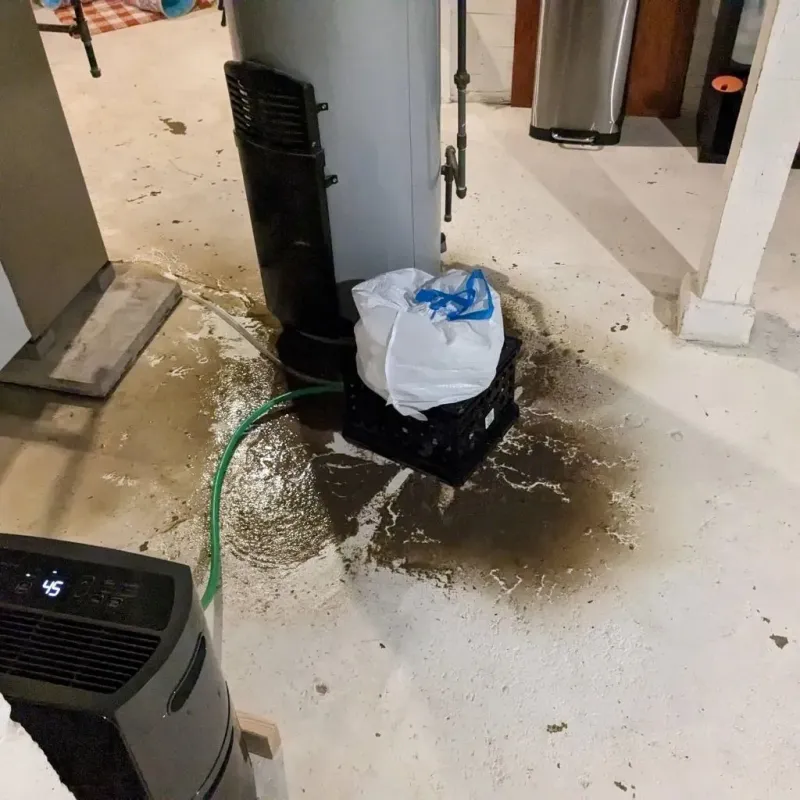 Sewage Backup Cleanup Service in Shelby County, TX